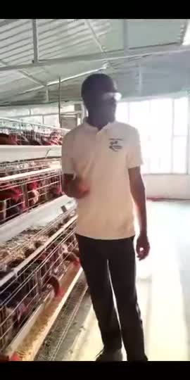 Pavilhão em plena produção