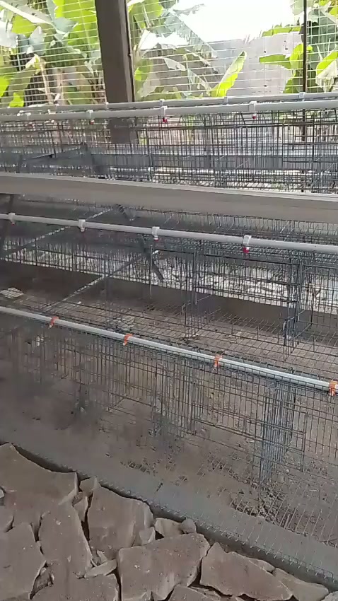 Acompanhamento de produção