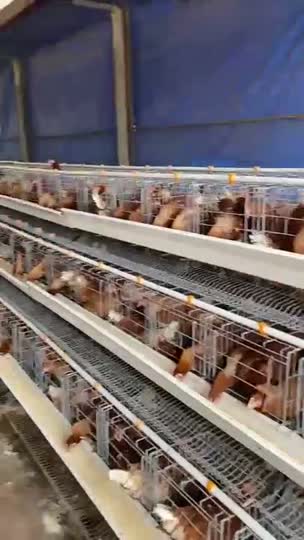 Linha de água e alimentação